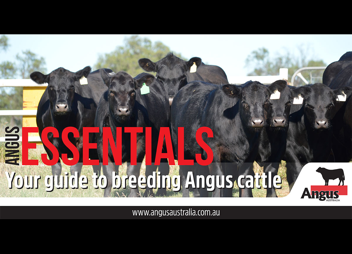 Introducing the Angus ESSENTIALS webinar series • AngusPRO
