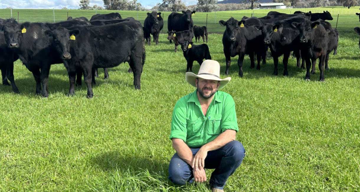 Increasing Selection Capability with Angus HeiferSELECT • AngusPRO