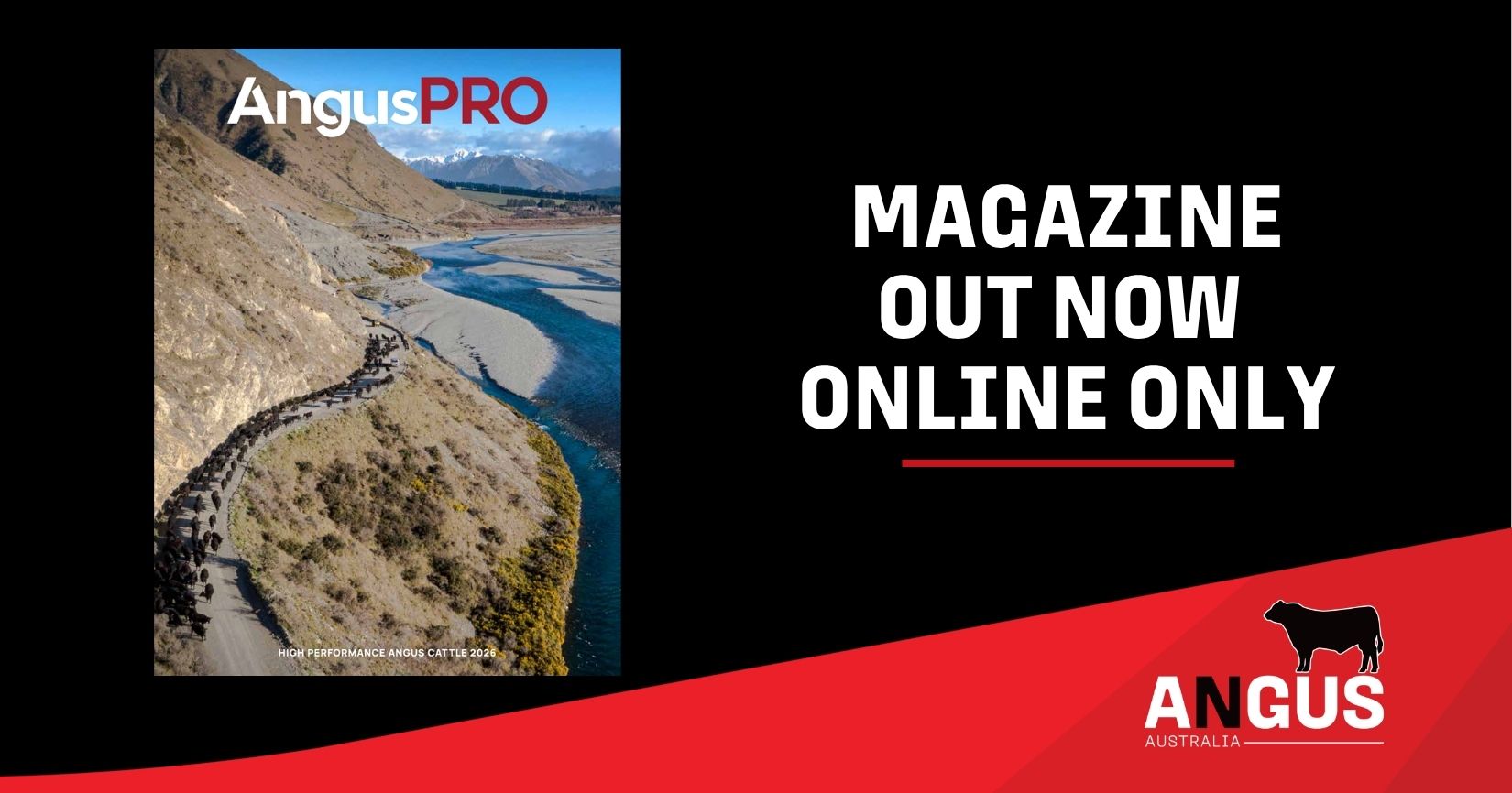 AngusPRO Magazine out now and online only • AngusPRO